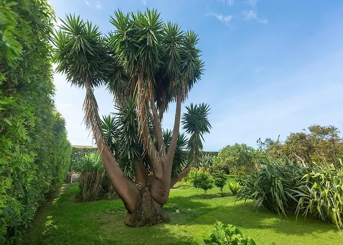 Casa Silke Prázdninový dům Vila Franca do Campo