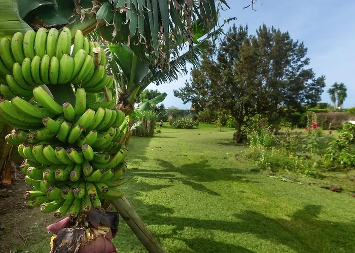 Casa Silke * Vila Franca do Campo